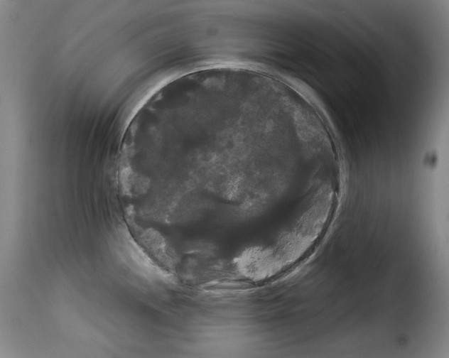 X0000114191244200911200929