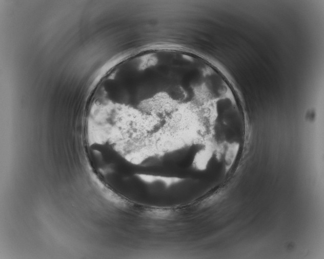 X0000114191245200911200929