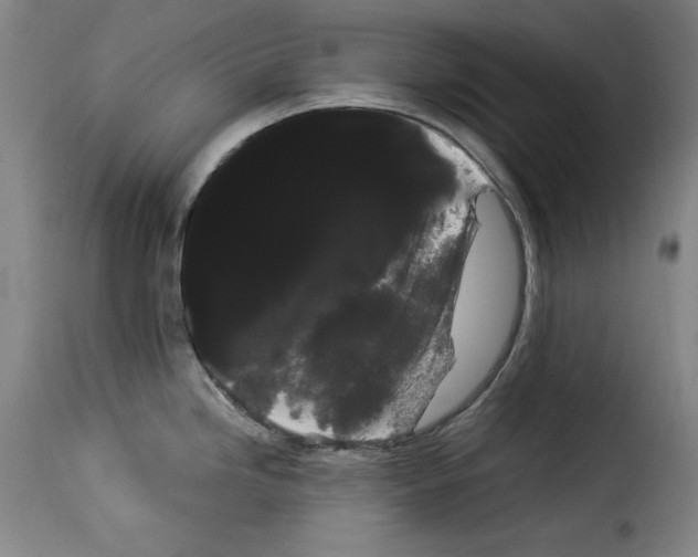 X0000114191246200911200929