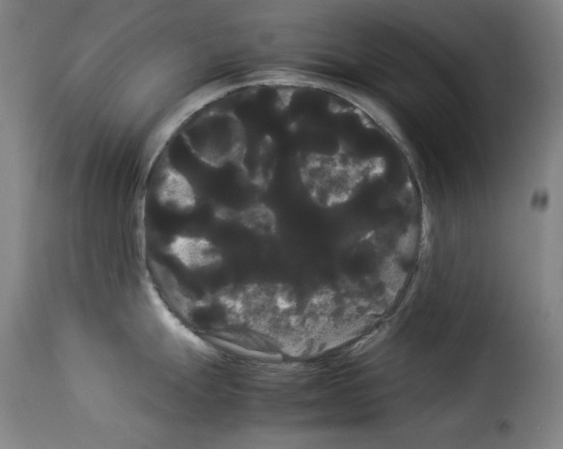 X0000114191247200911200929