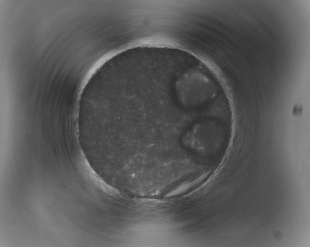 X0000114191248200911200929