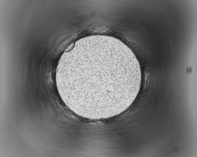 X0000114191250200911200928