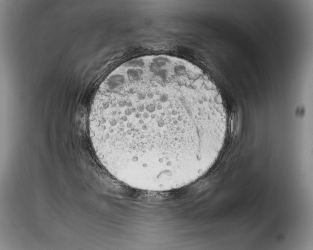 X0000114191251200911200928