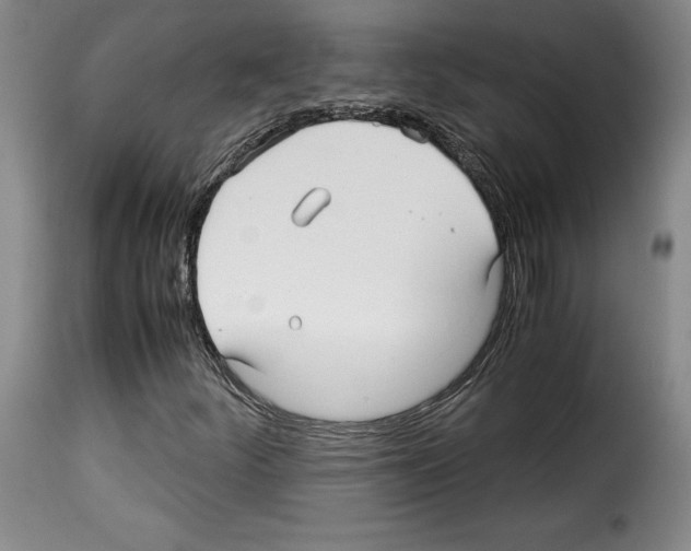 X0000114191252200911200928