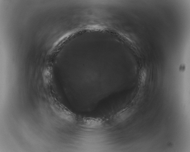 X0000114191254200911200928