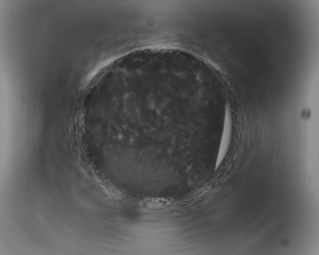 X0000114191255200911200928