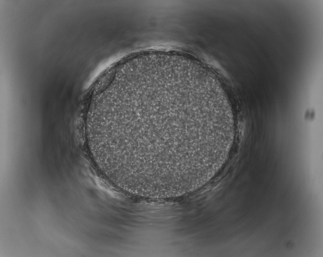 X0000114191256200911200928