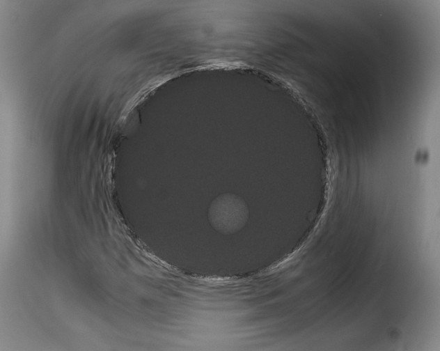 X0000114191257200911200928