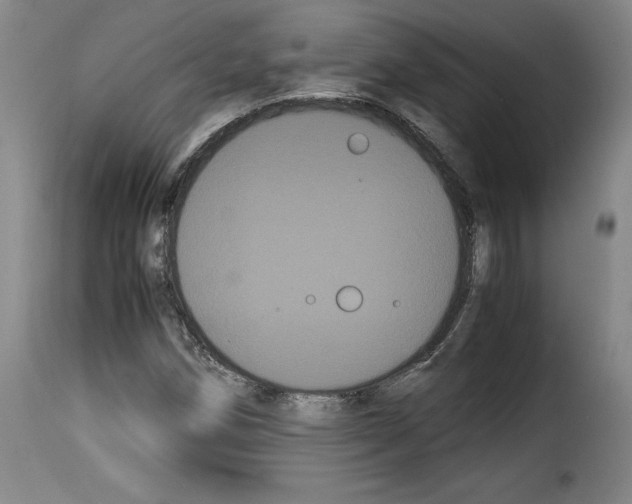 X0000114191258200911200928