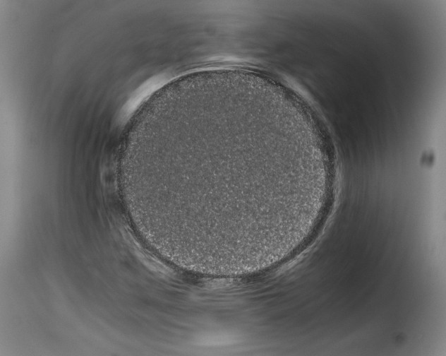 X0000114191259200911200928