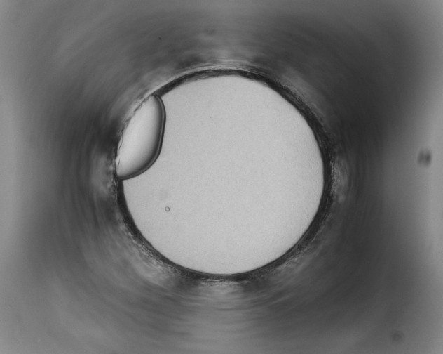 X0000114191260200911200928