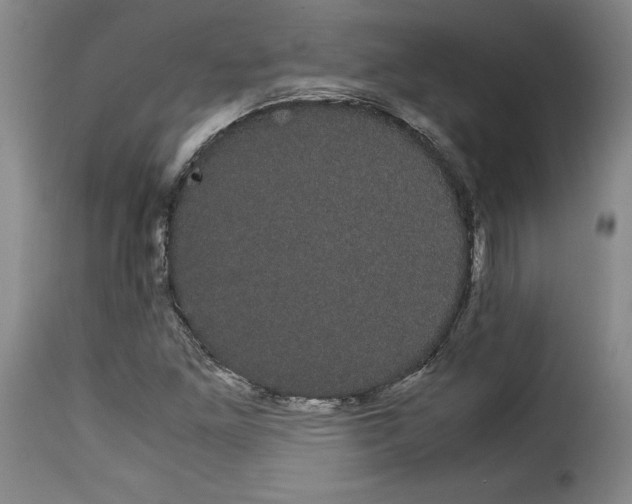 X0000114191261200911200928