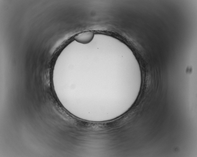 X0000114191262200911200928