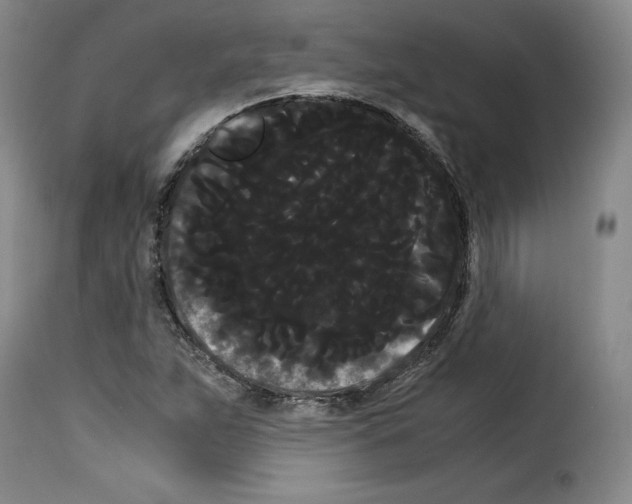 X0000114191263200911200928