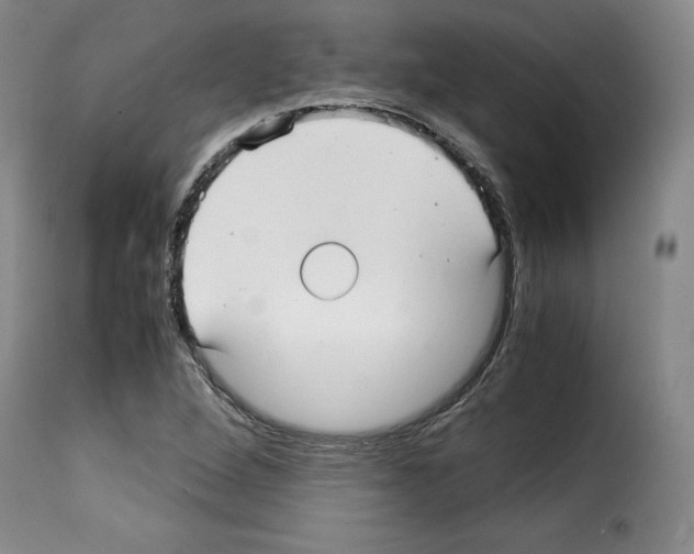 X0000114191264200911200928