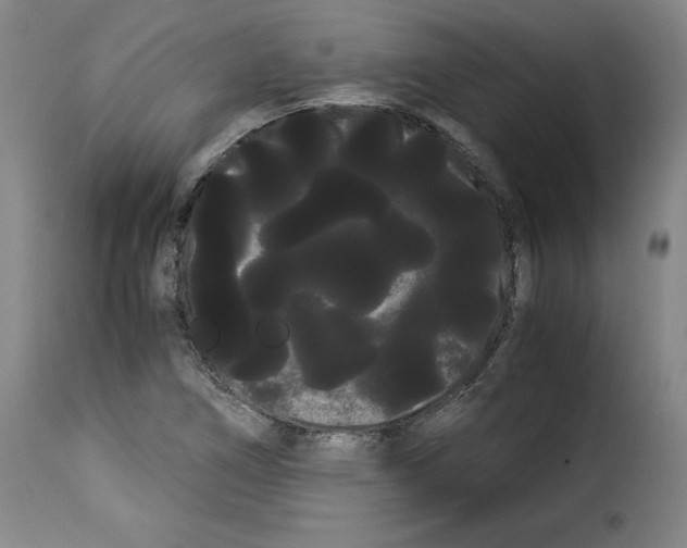 X0000114191266200911200928