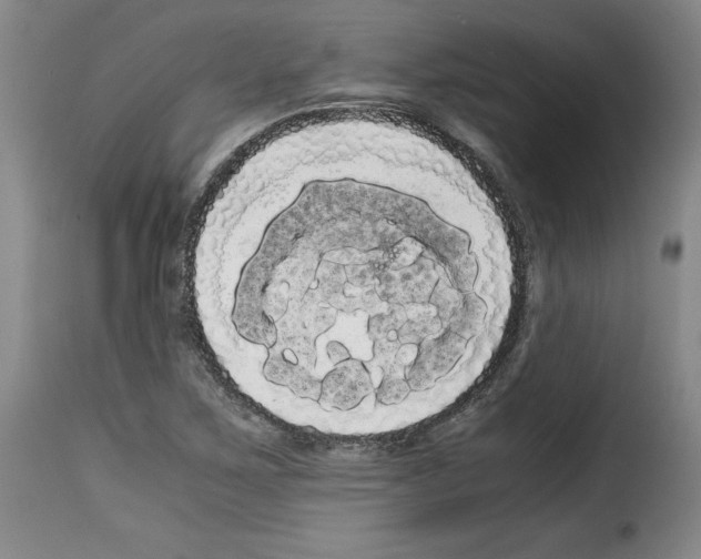 X0000114191267200911200928