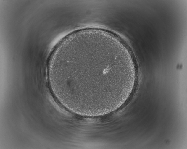 X0000114191271200911200928