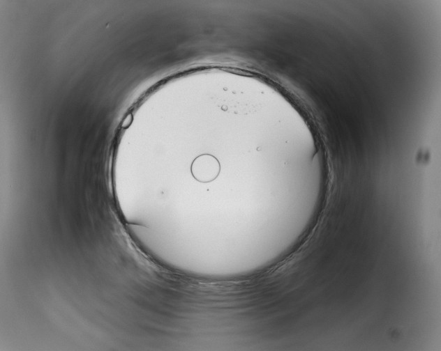 X0000114191272200911200928