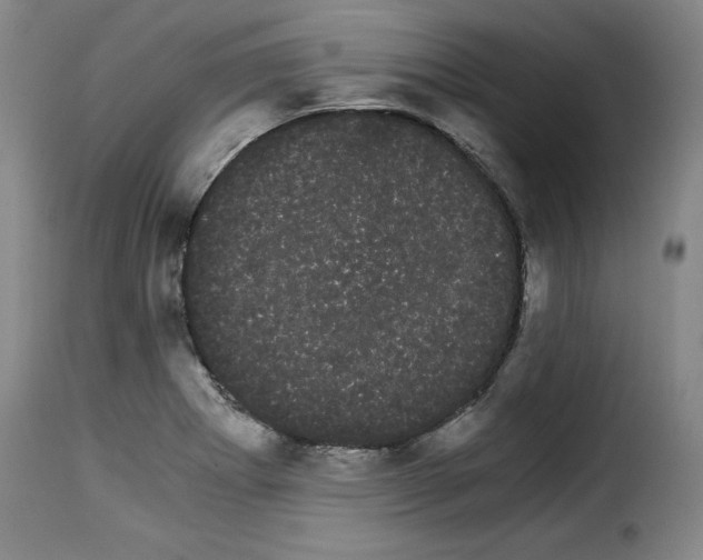 X0000114191273200911200928