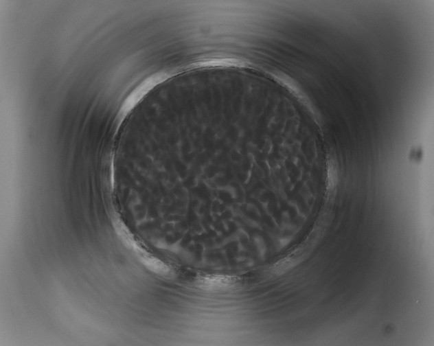 X0000114191274200911200928