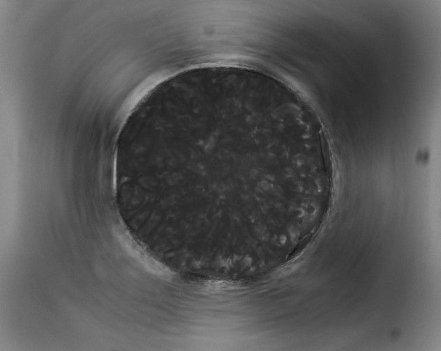 X0000114191275200911200928