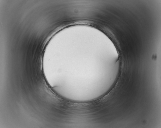 X0000114191276200911200928