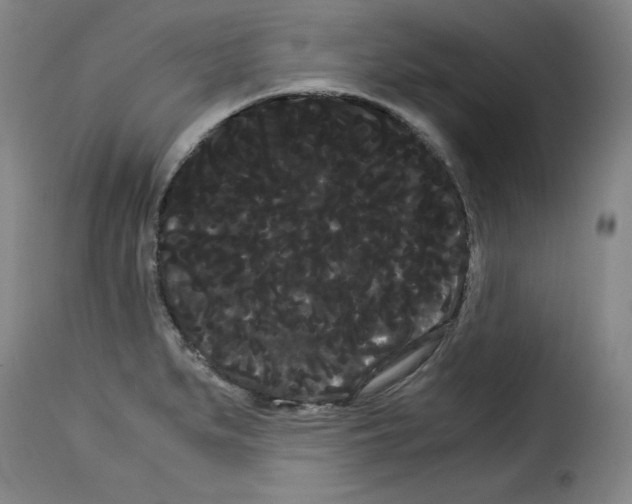 X0000114191279200911200928