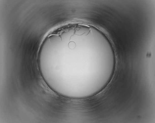 X0000114191280200911200928