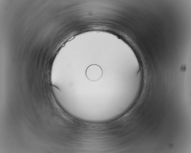 X0000114191281200911200928