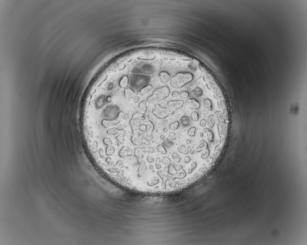 X0000114191283200911200928