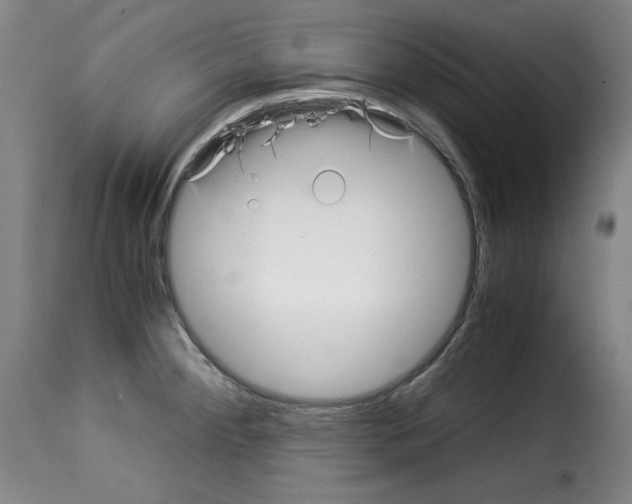 X0000114191284200911200928