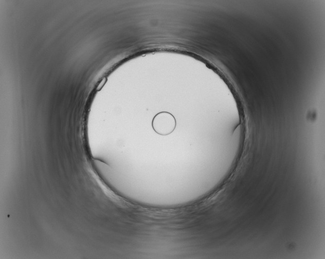 X0000114191285200911200928