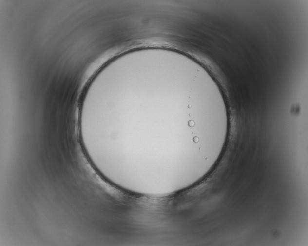 X0000114191286200911200928