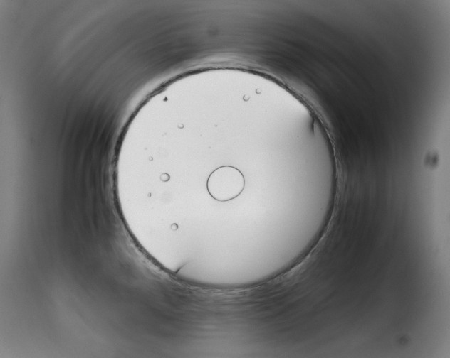 X0000114191288200911200928