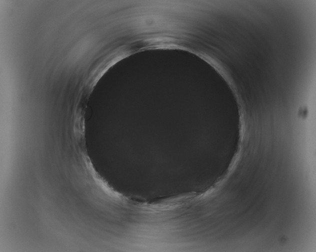 X0000114191289200911200928