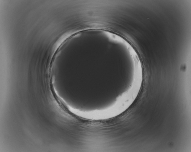 X0000114191291200911200928