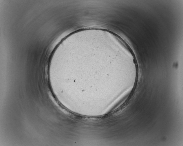 X0000114191293200911200928