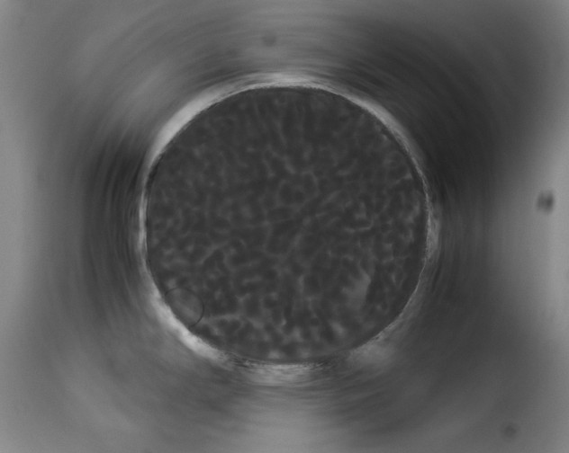 X0000114191294200911200928