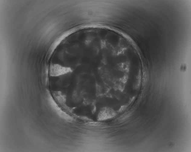 X0000114191295200911200928