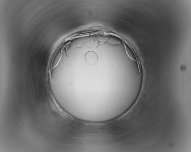 X0000114191296200911200928