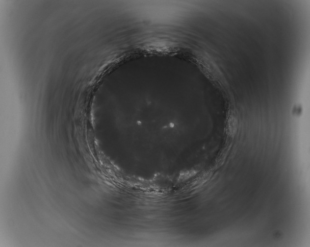 X0000114191297200911200927