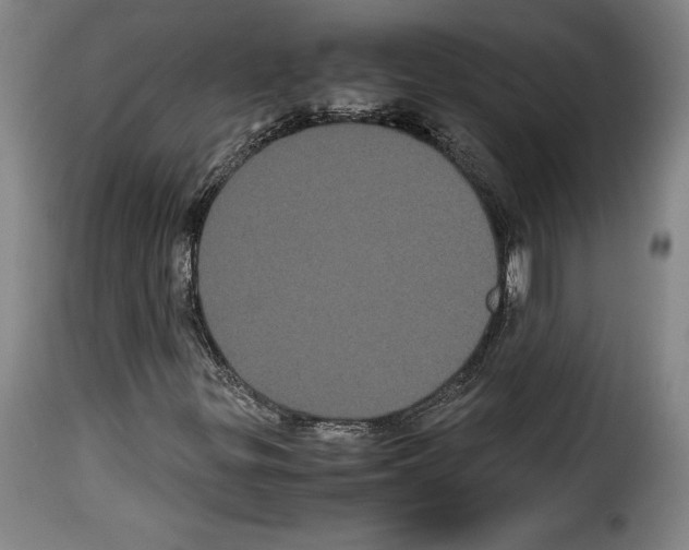 X0000114191299200911200927