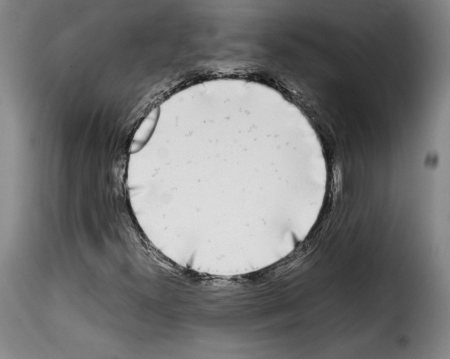 X0000114191300200911200927