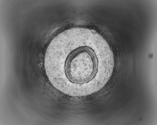 X0000114191301200911200927