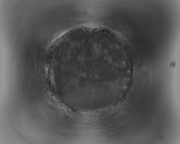 X0000114191302200911200927