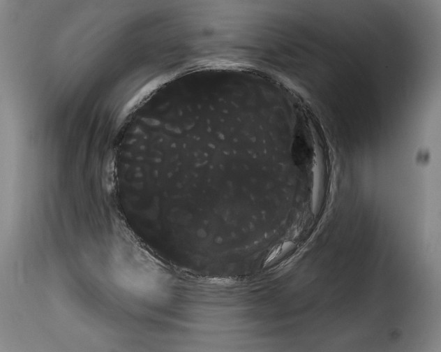 X0000114191306200911200927