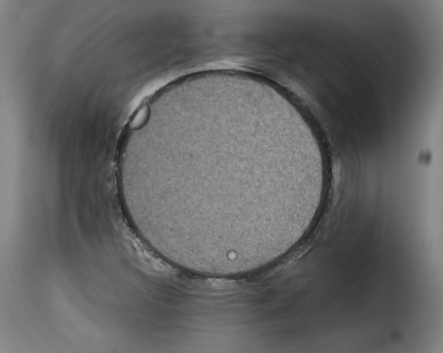 X0000114191308200911200927