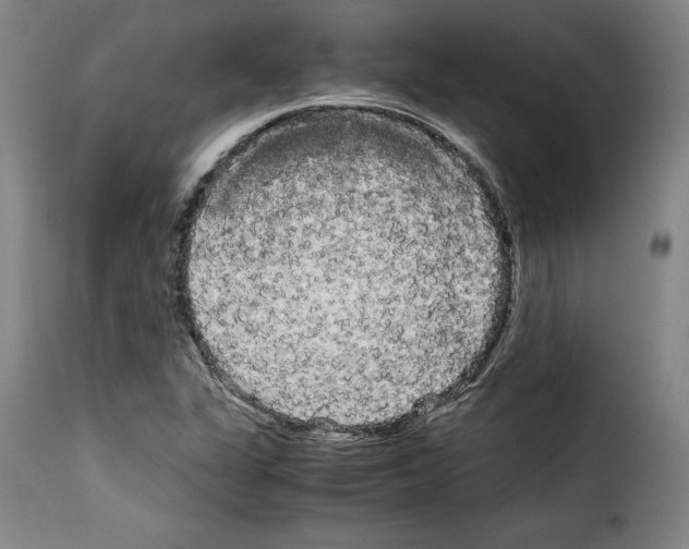 X0000114191311200911200927