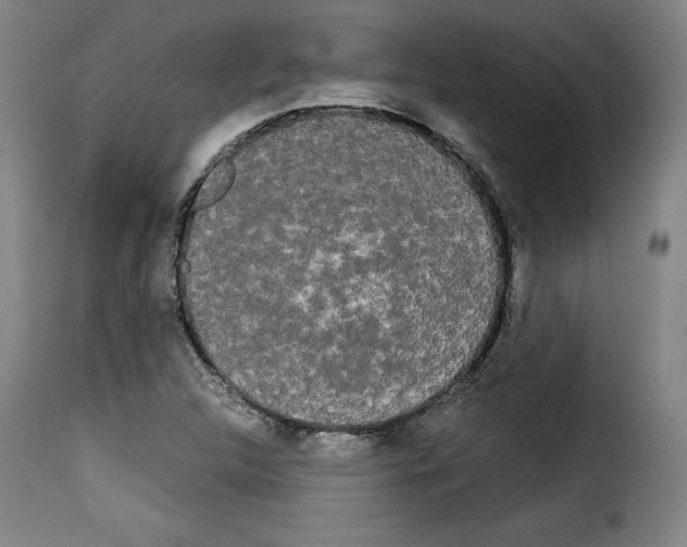 X0000114191312200911200927